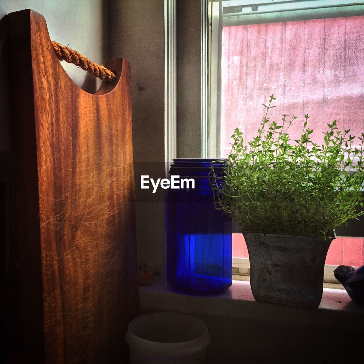 Close-up of potted plant on window sill