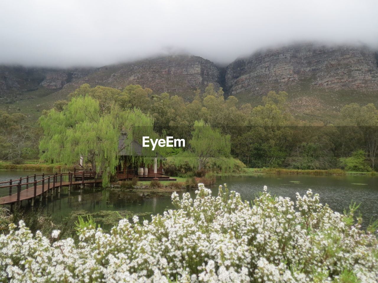 SCENIC VIEW OF LAKE BY TREES AGAINST MOUNTAIN