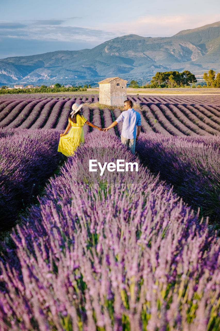 PURPLE FLOWERS ON FIELD BY MOUNTAINS