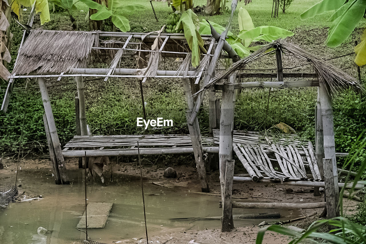 ABANDONED METALLIC STRUCTURE BY PLANTS