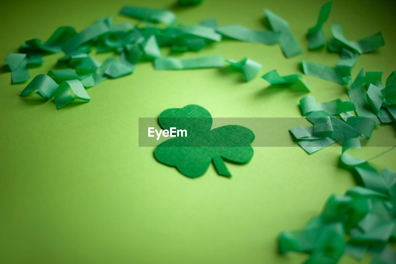 High angle view of leaf with confetti on green background