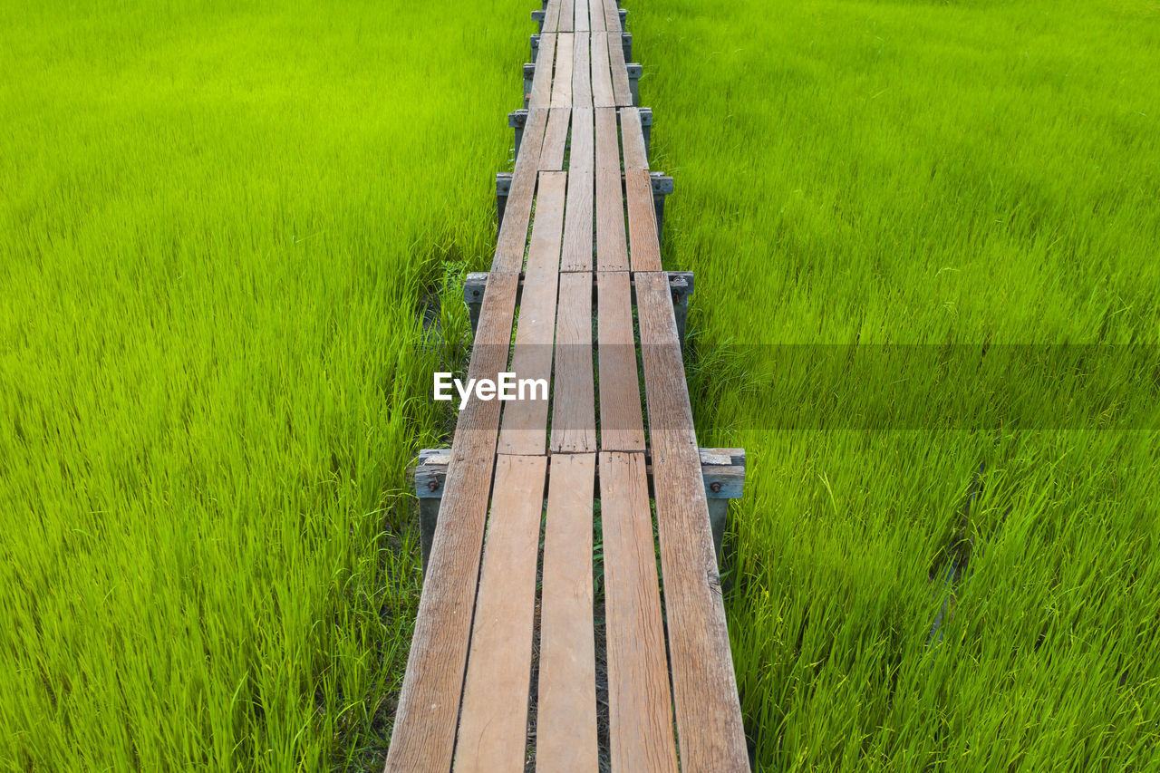 HIGH ANGLE VIEW OF AGRICULTURAL LAND