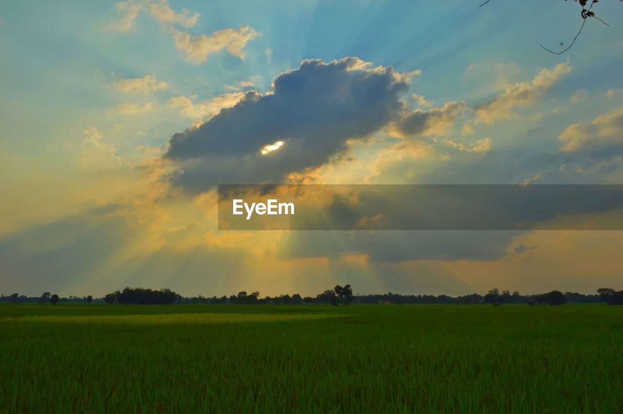 SCENIC VIEW OF FIELD AGAINST SKY AT SUNSET