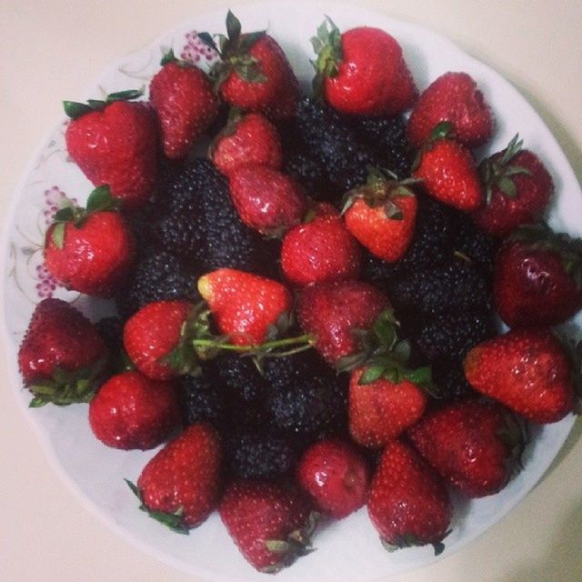 berry, fruit, healthy eating, food, food and drink, strawberry, freshness, berries, wellbeing, red, produce, dessert, pavlova, no people, plant, indoors, still life, directly above, raspberry, sweet food, bowl, juicy, close-up, blackberry, organic, high angle view, ripe, breakfast, large group of objects