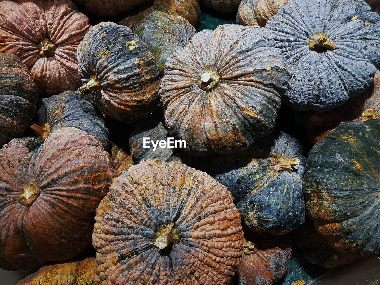 Full frame shot of pumpkins at market