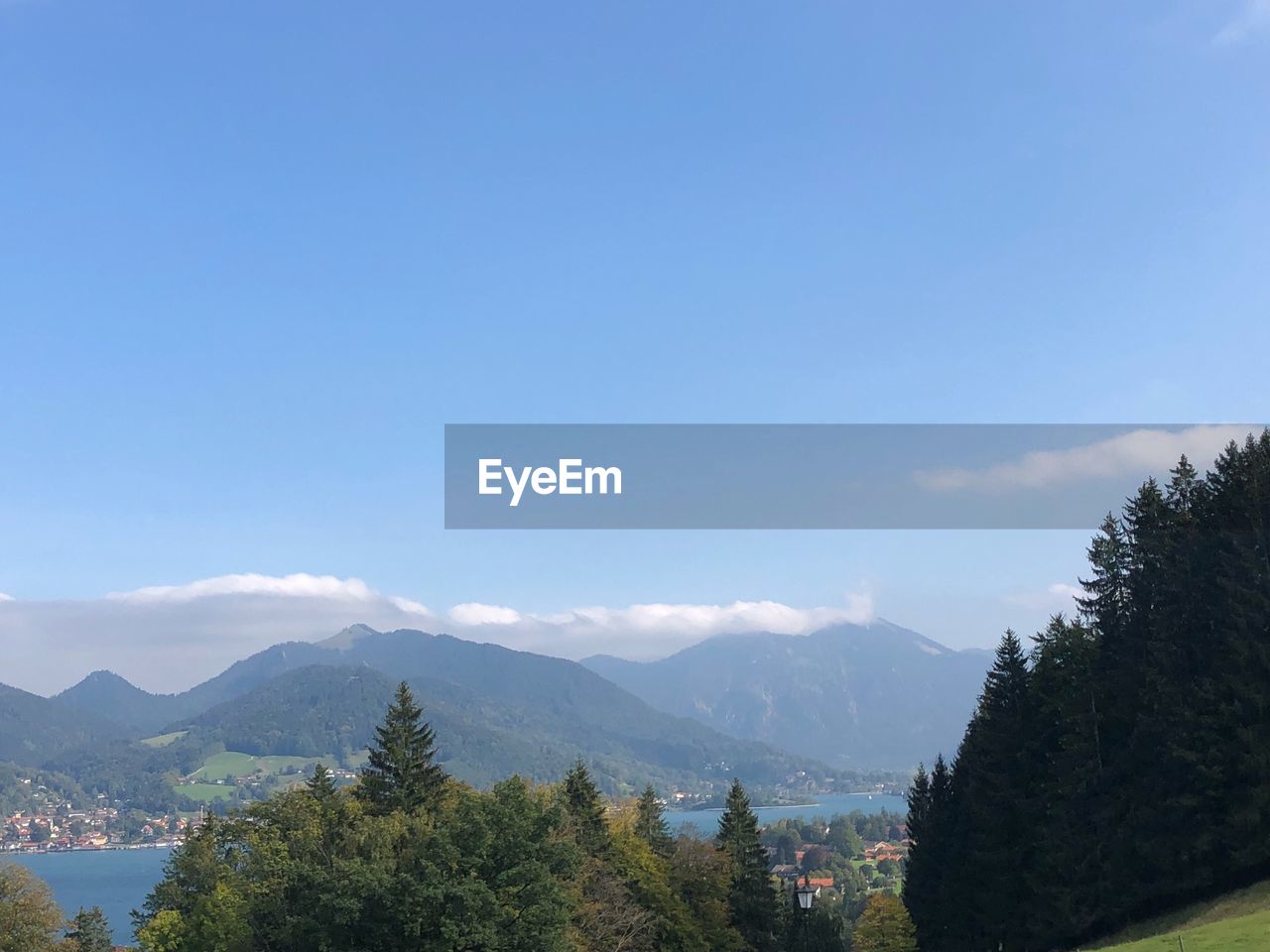 SCENIC VIEW OF TREES ON LANDSCAPE AGAINST SKY