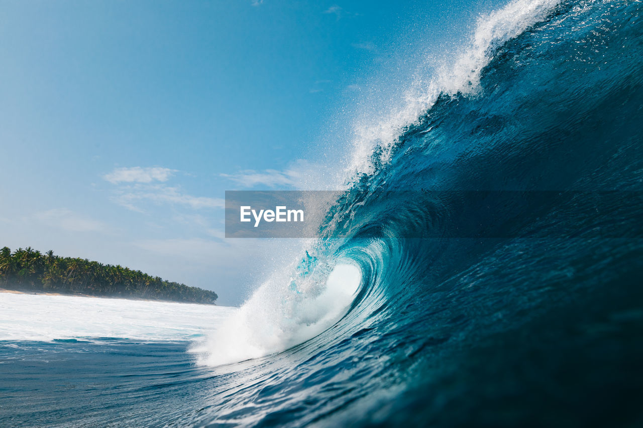 Powerful wave breaking on a beach with palm trees