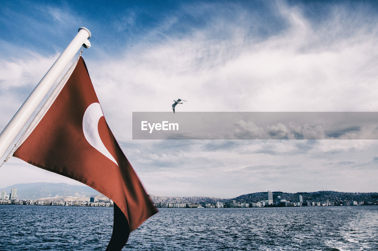 BIRD FLYING OVER SEA