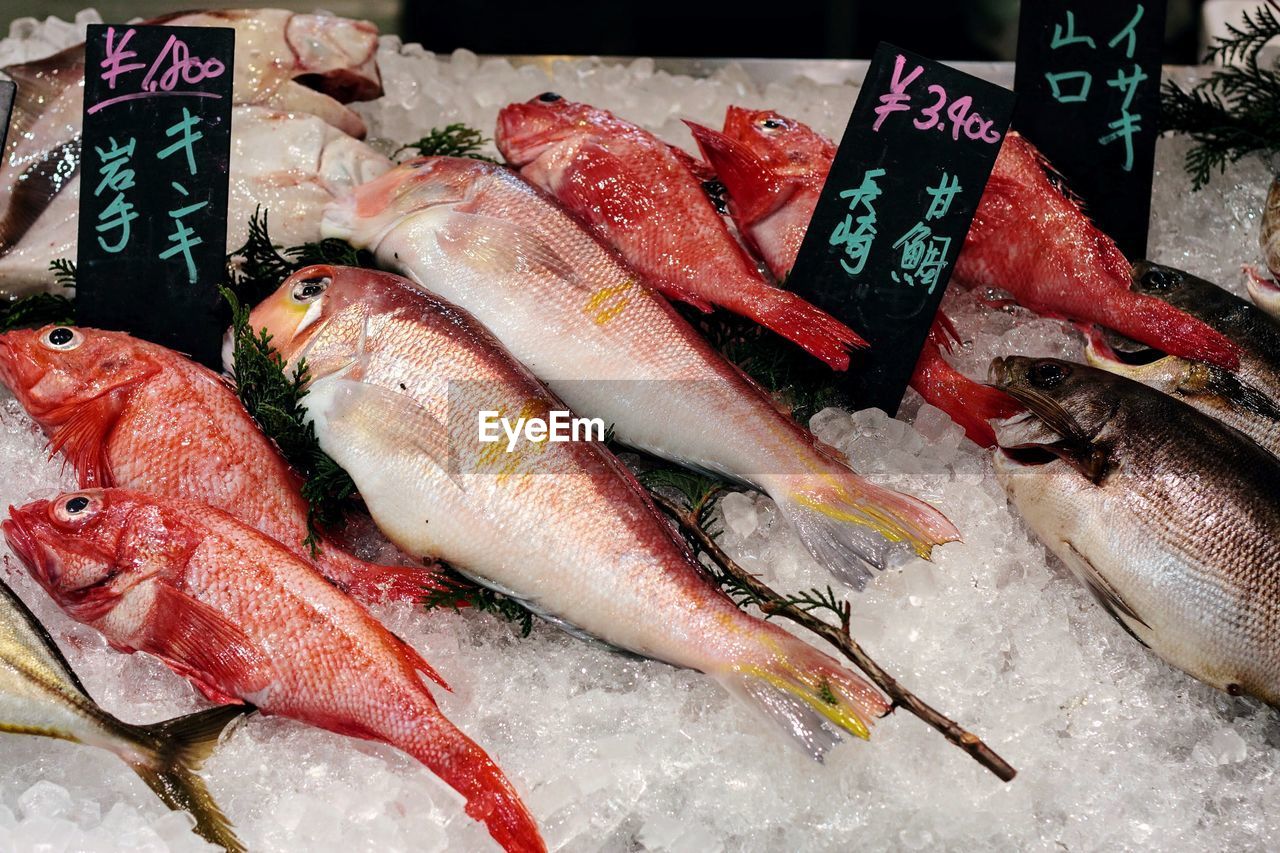 Fish for sale at market stall