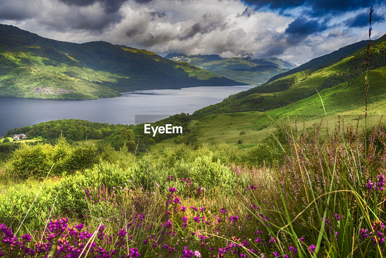 Scenic view of field and mountains against sky