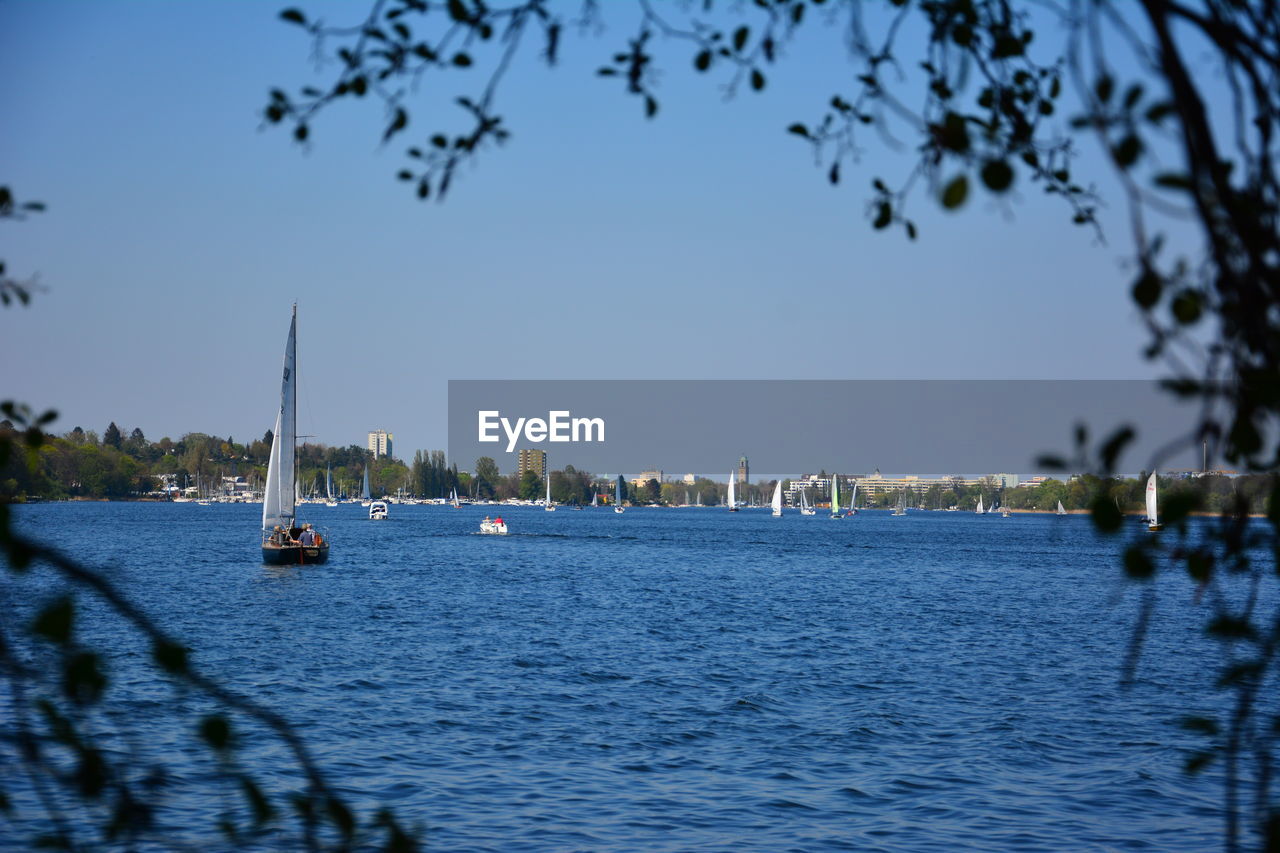 Sailboats in sea against clear sky