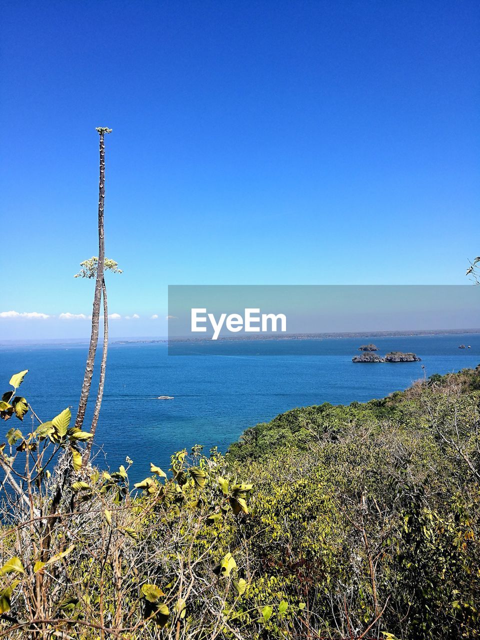 Scenic view of sea against clear blue sky