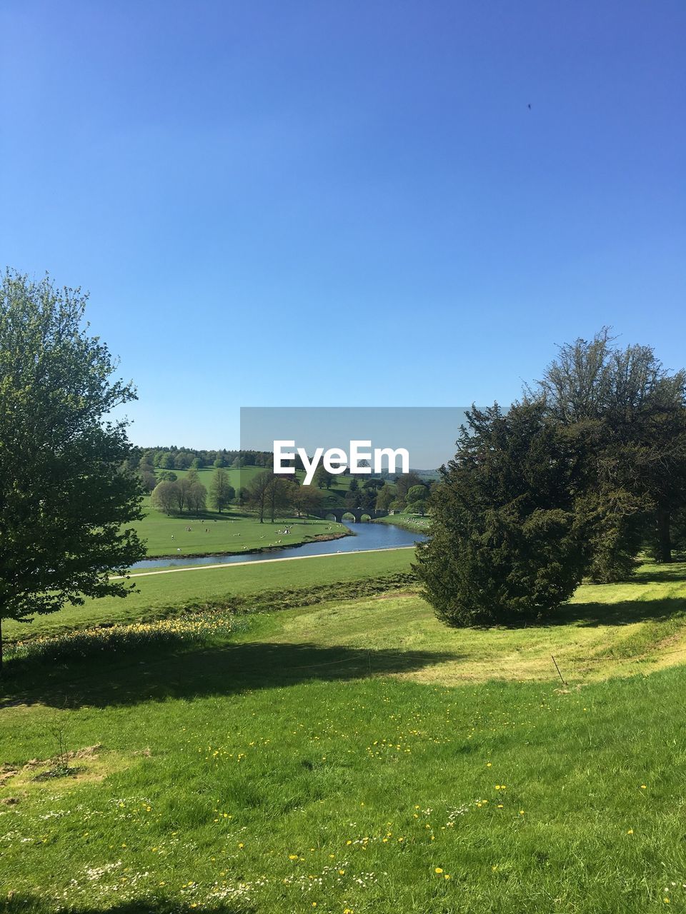 SCENIC VIEW OF LAND AGAINST CLEAR SKY