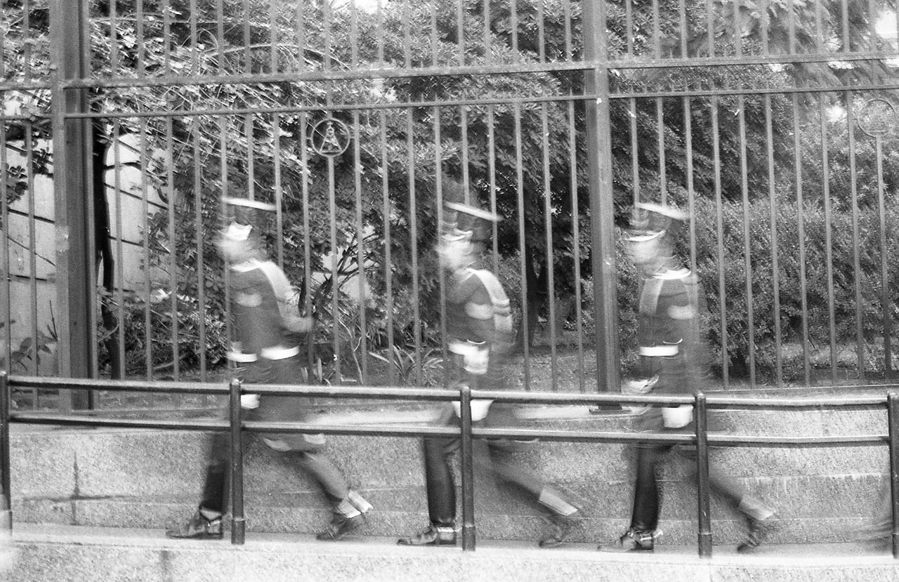 day, black and white, monochrome photography, plant, nature, railing, architecture, tree, monochrome, outdoors, built structure, fence, metal, no people, lifestyles, leisure activity, sitting