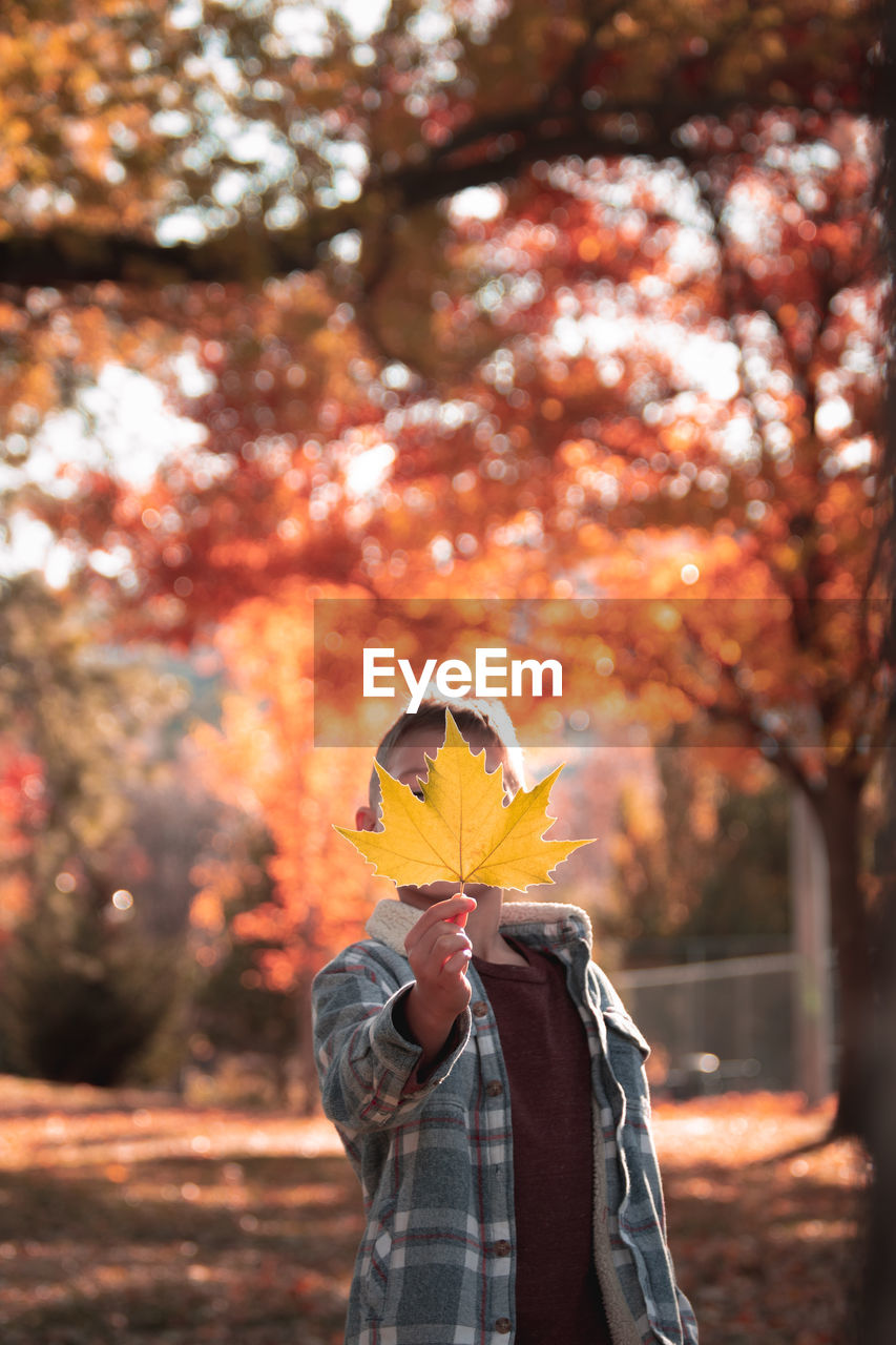 Person holding maple leaf during autumn