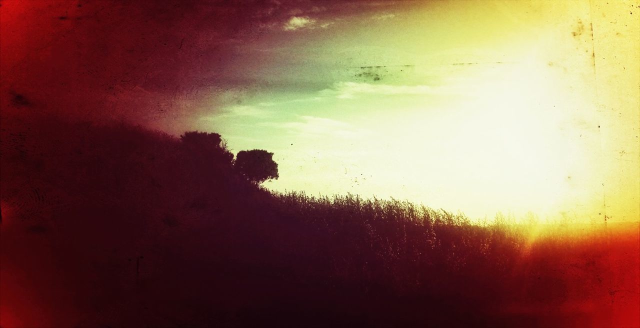 Silhouette field against sky during sunset