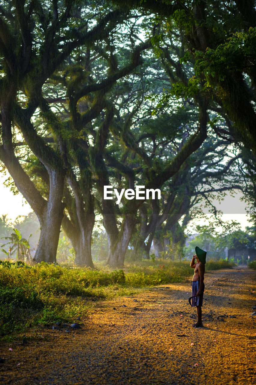 Man looking at trees while standing on road