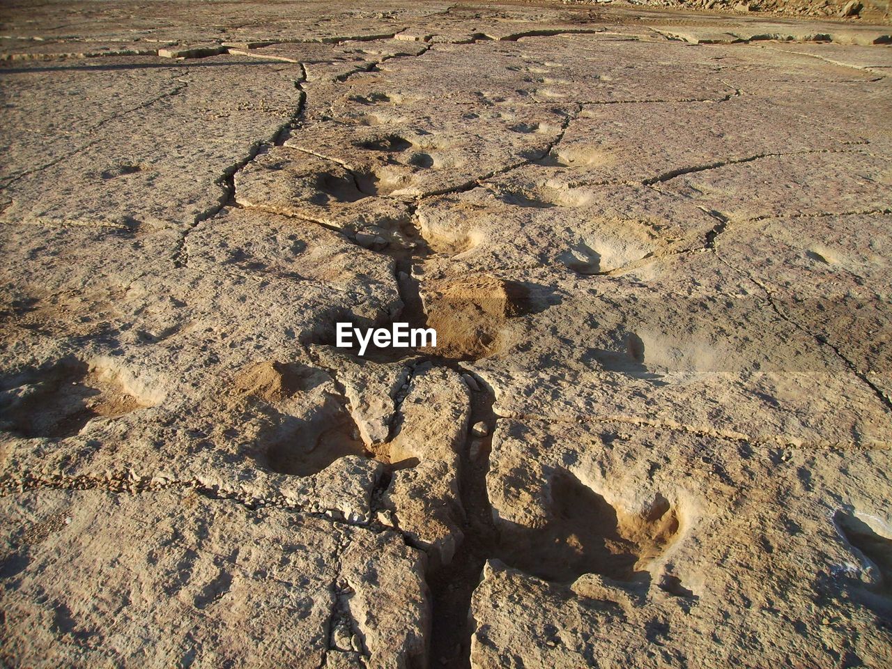 HIGH ANGLE VIEW OF SUNLIGHT ON SAND