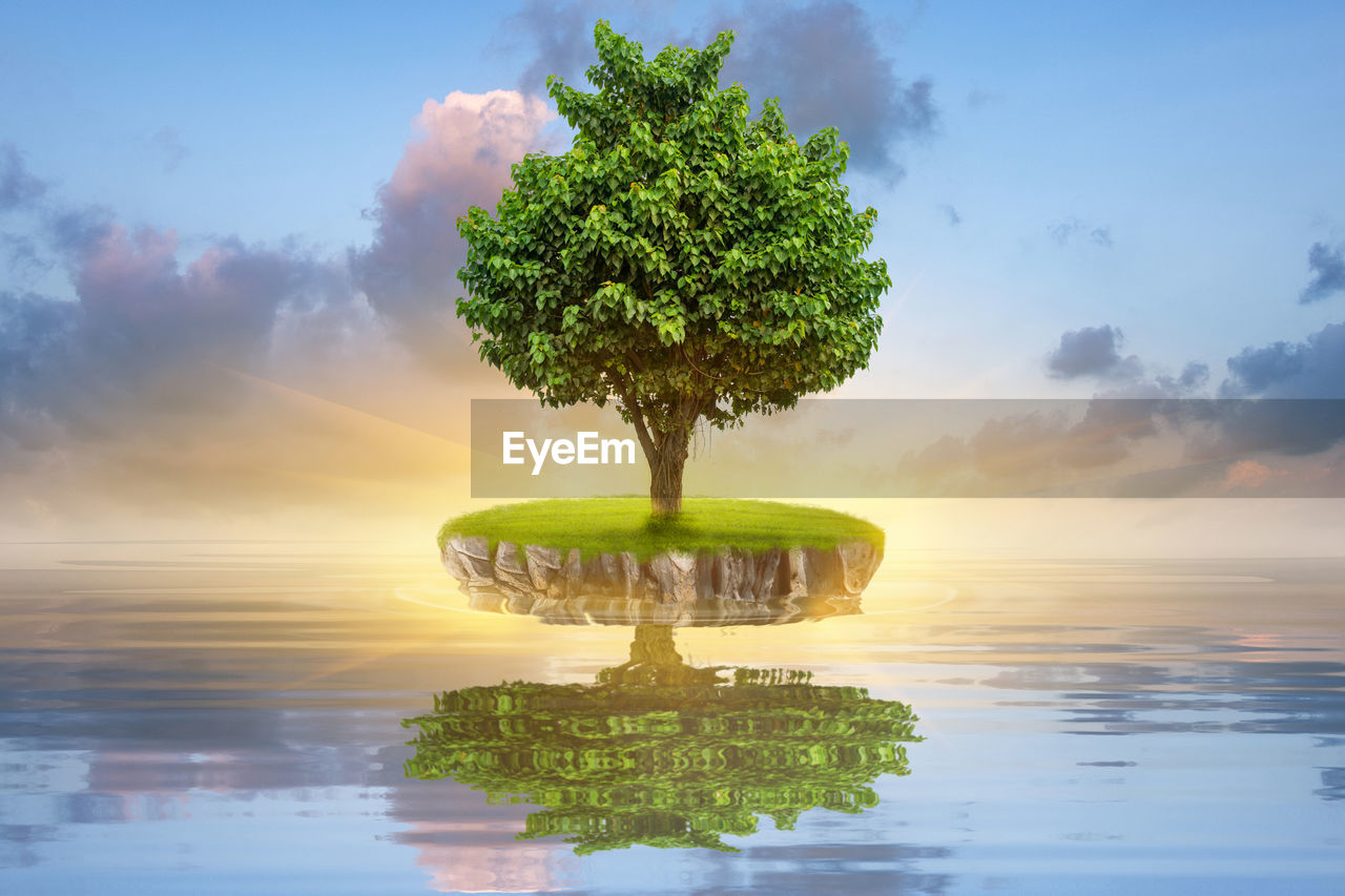 TREE BY PLANTS AGAINST SKY