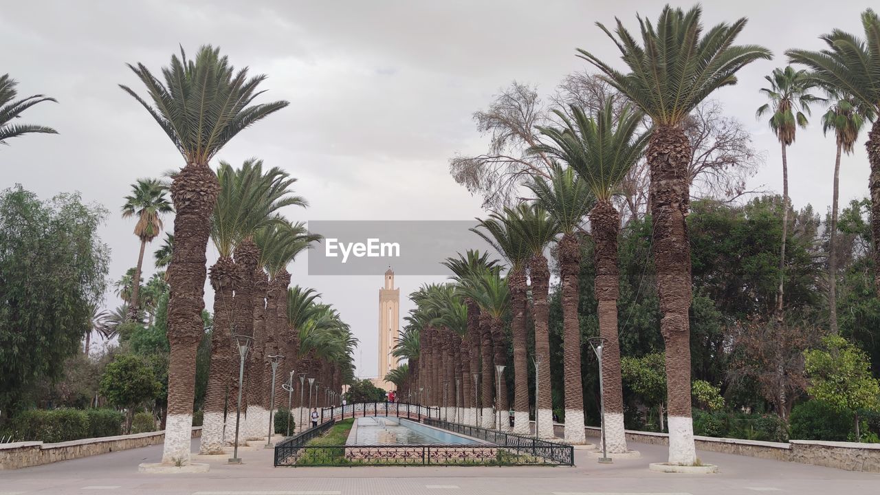 tree, palm tree, plant, tropical climate, architecture, nature, sky, city, travel destinations, date palm, date palm tree, cloud, plaza, no people, built structure, outdoors, day, town square, travel, road, street, building exterior, transportation