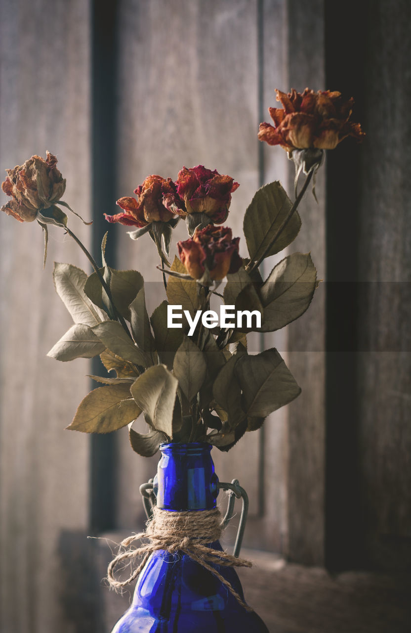 Close-up of rose bouquet