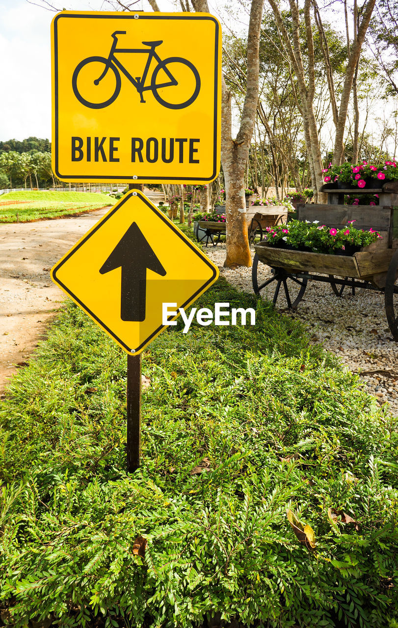 Road sign amidst plants at park