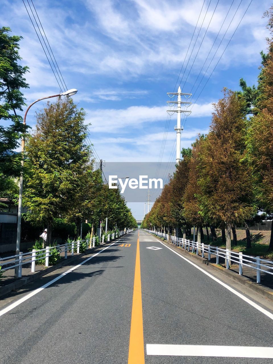 Road amidst trees against sky