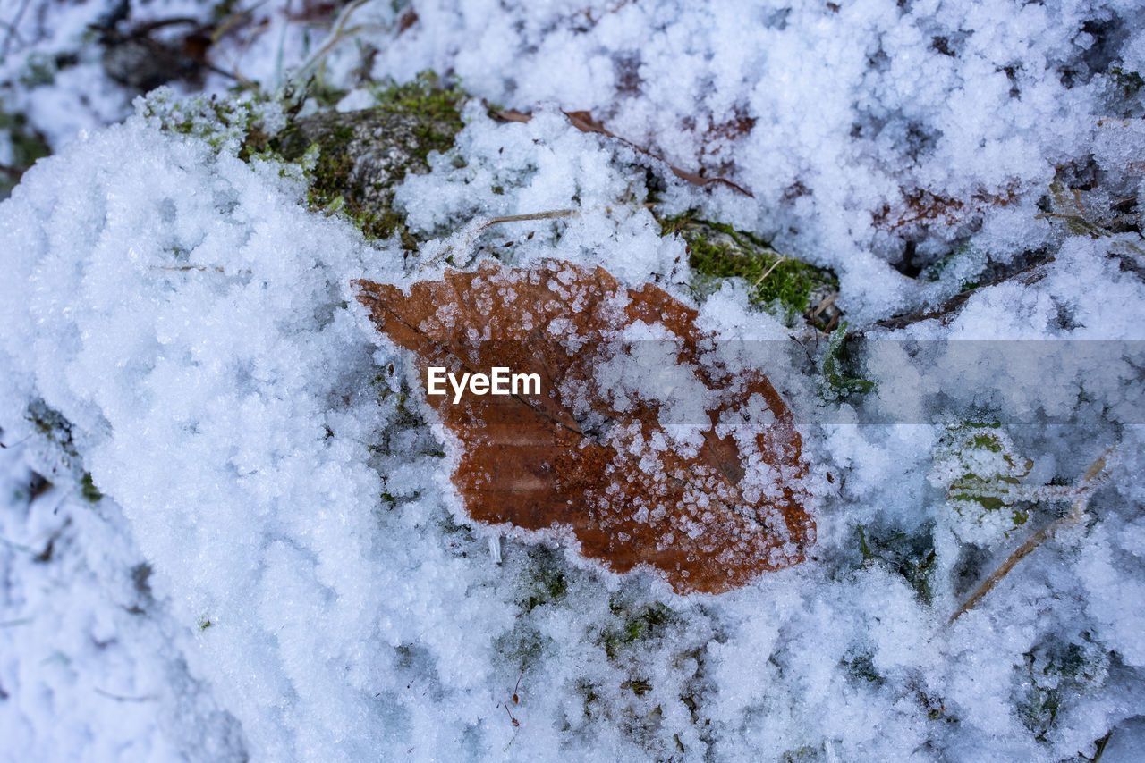 High angle view of snow covered land