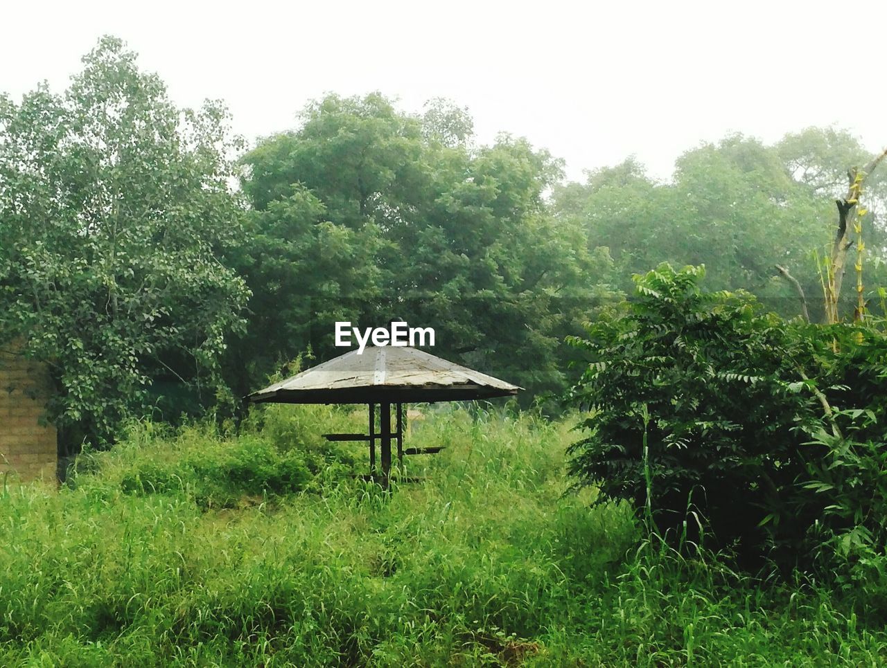 GAZEBO ON FIELD AGAINST TREES