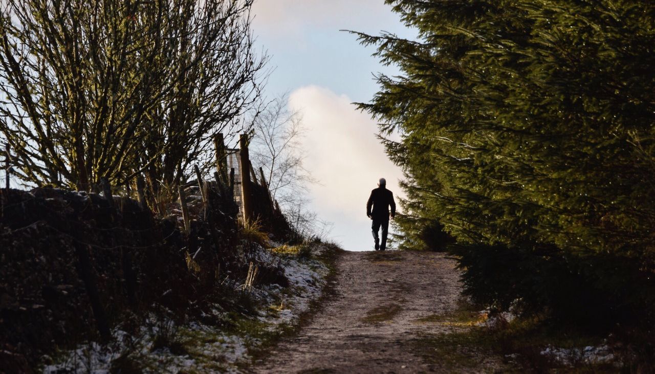 Rear view of man walking by trees against sky