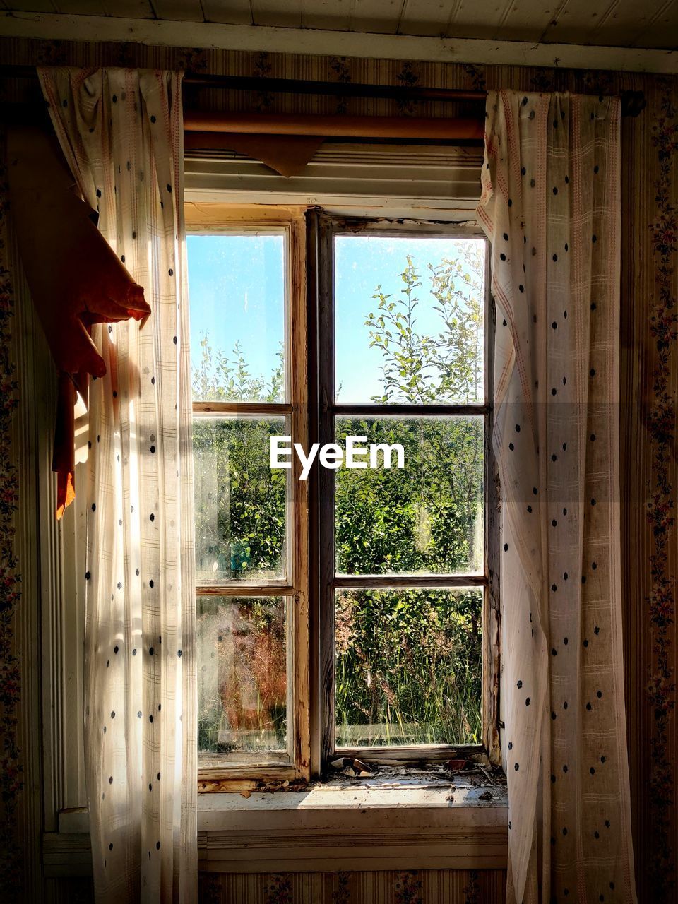 Trees seen through window of house