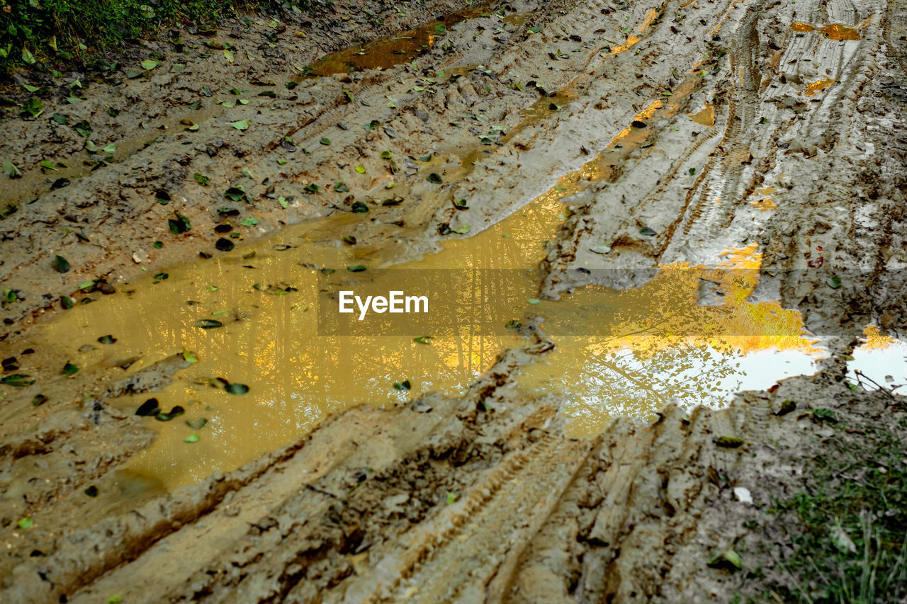 Traces of cars in the mud