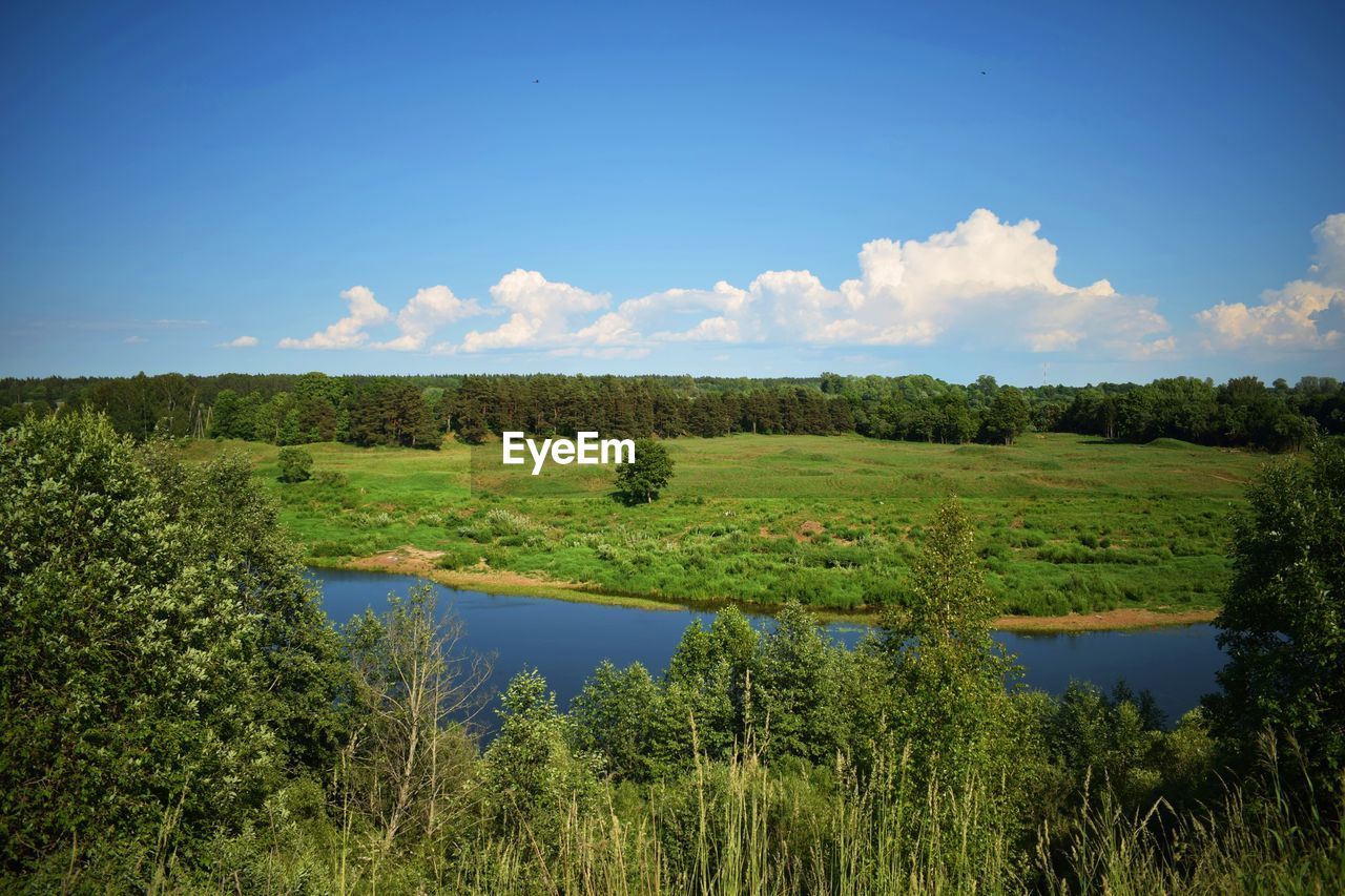 SCENIC VIEW OF GREEN LANDSCAPE