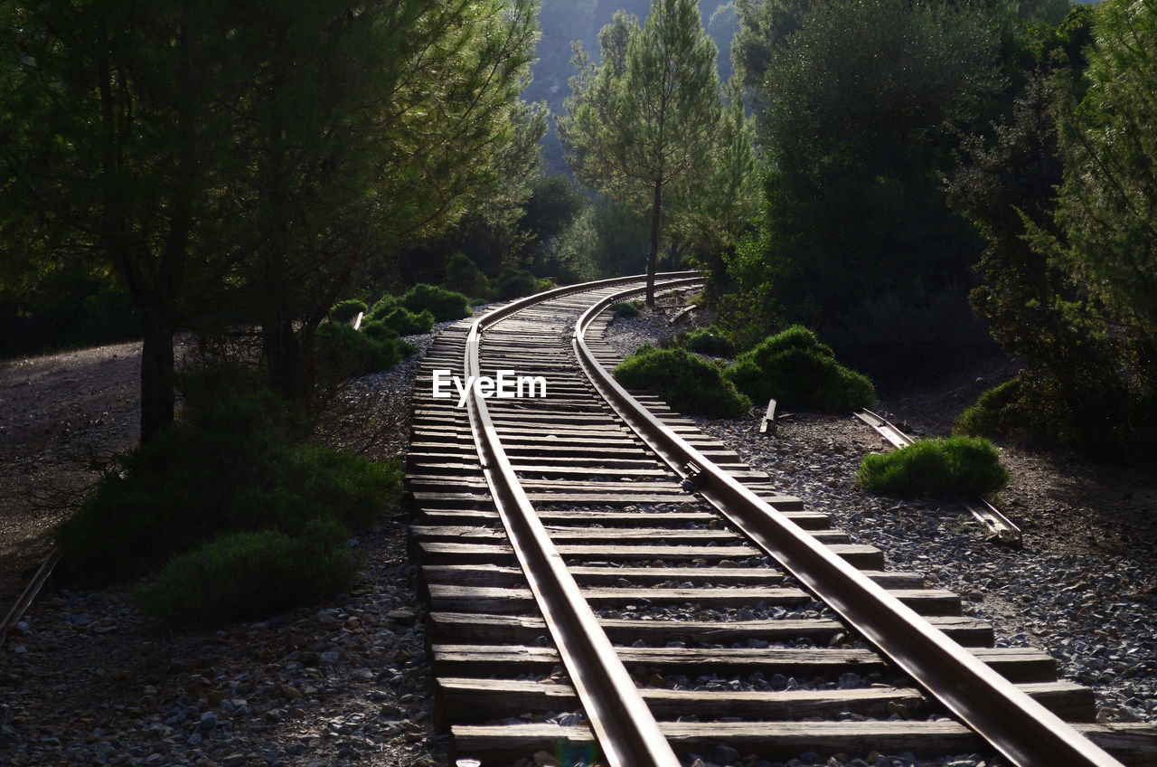 Railroad tracks amidst trees in forest