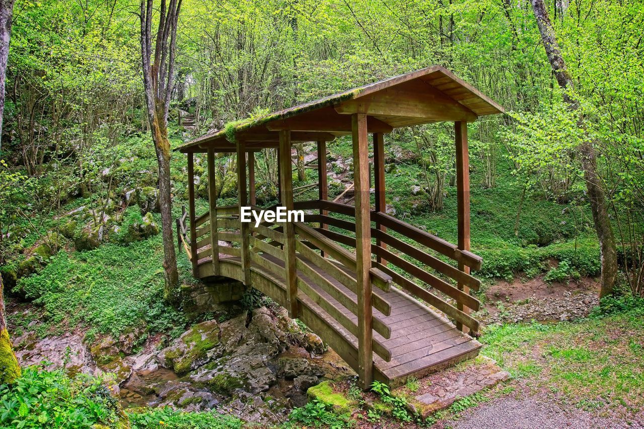 VIEW OF HUT IN FOREST