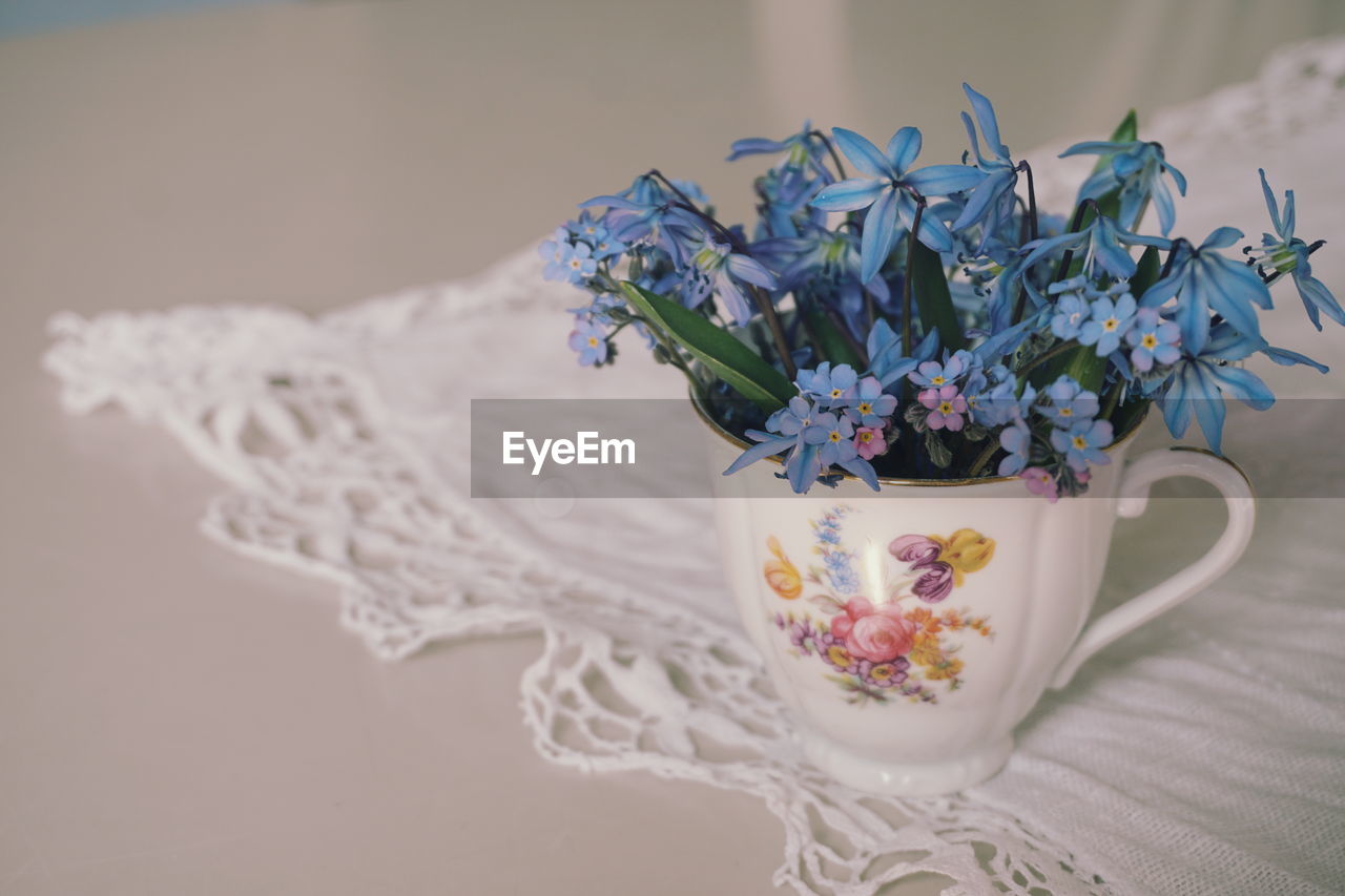 Close-up of blue flowers in cup on table