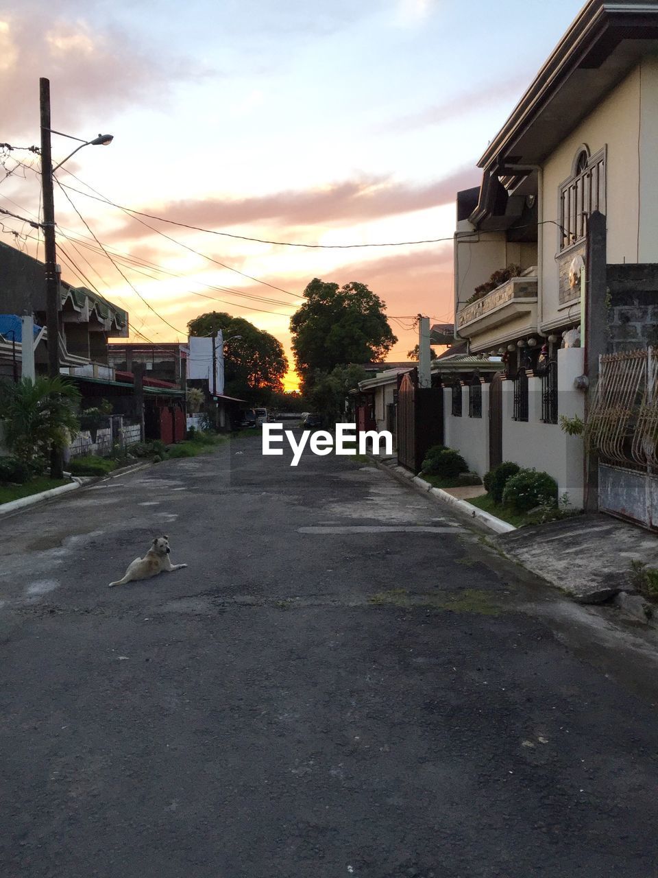 Street amidst houses against sky during sunset