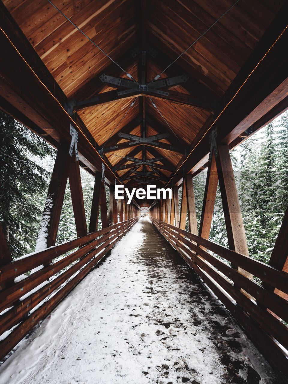 Snow covered wooden footbridge amidst trees in forest