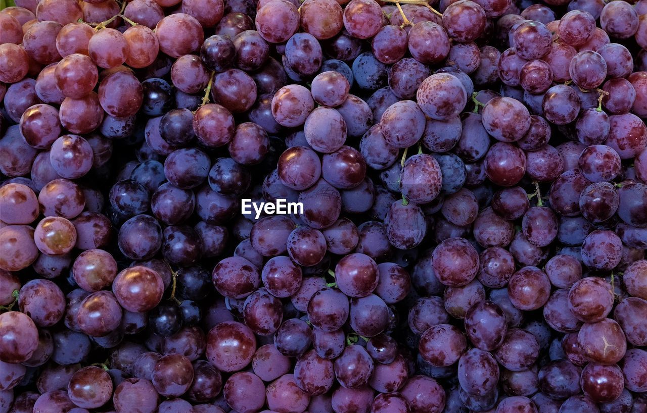 FULL FRAME SHOT OF BERRIES