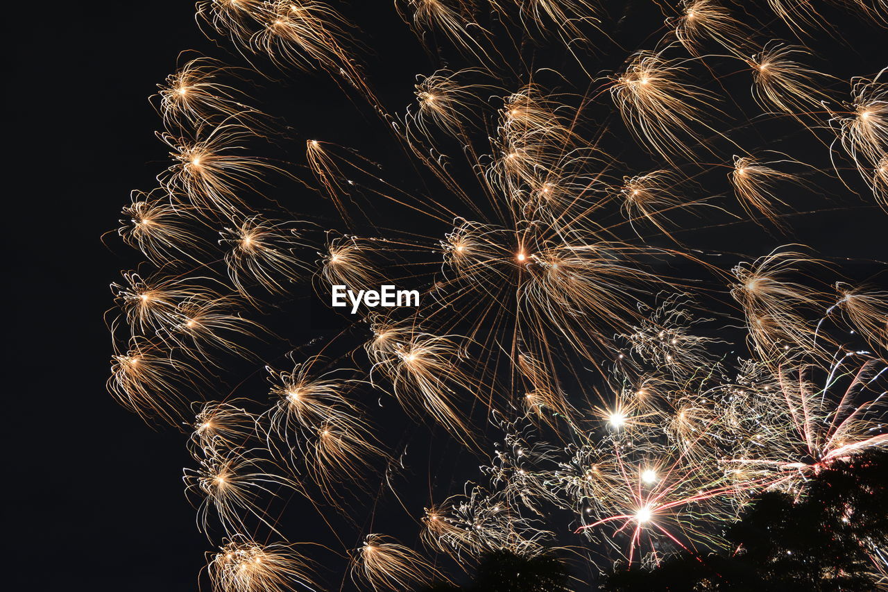 Low angle view of firework display at night