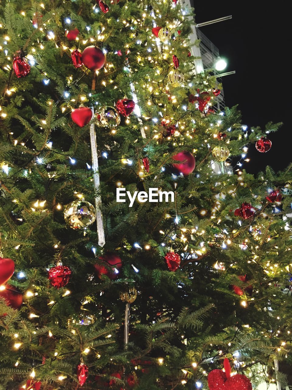 CLOSE-UP OF ILLUMINATED CHRISTMAS TREE