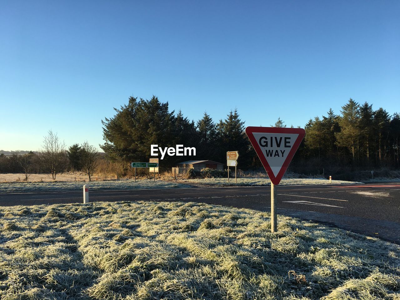 Road sign by trees against clear sky