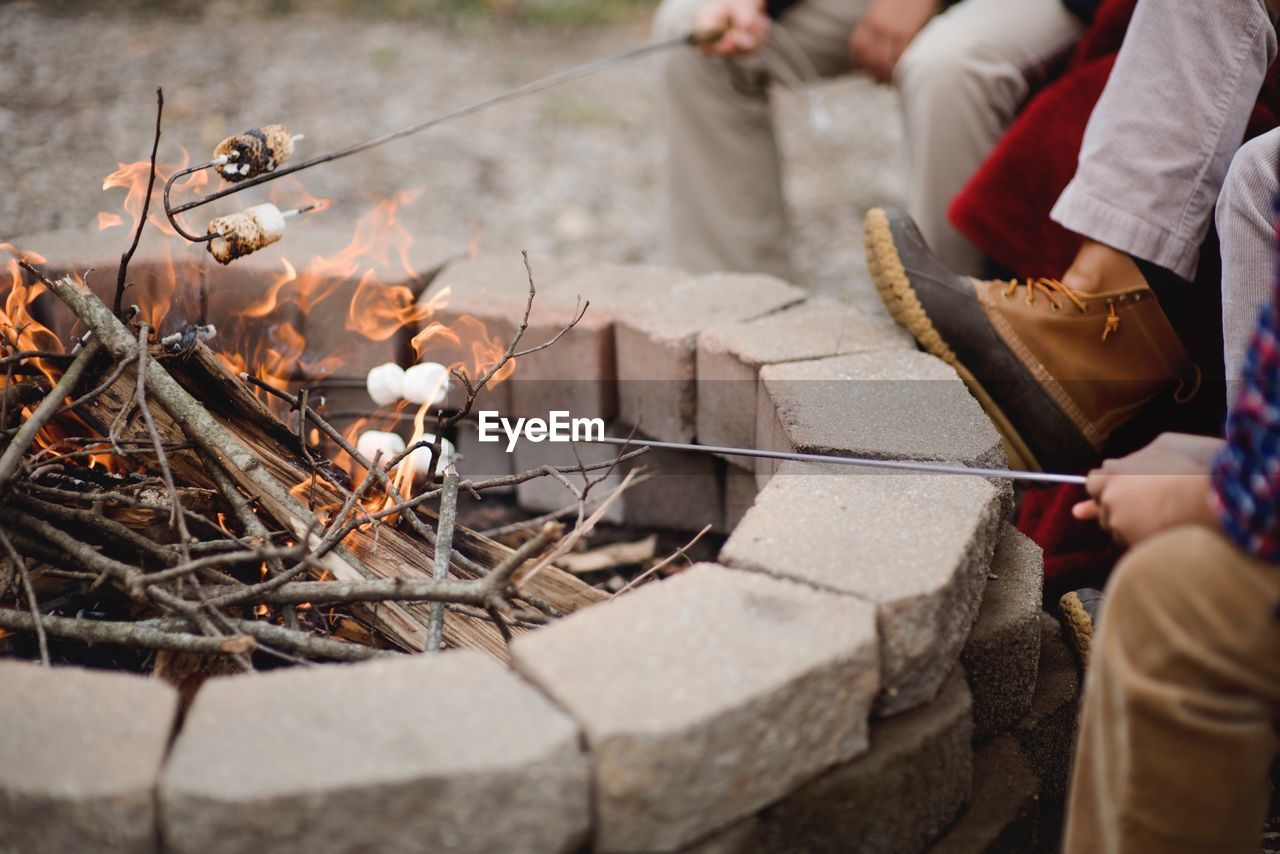 Friends cooking marshmallows over campfire