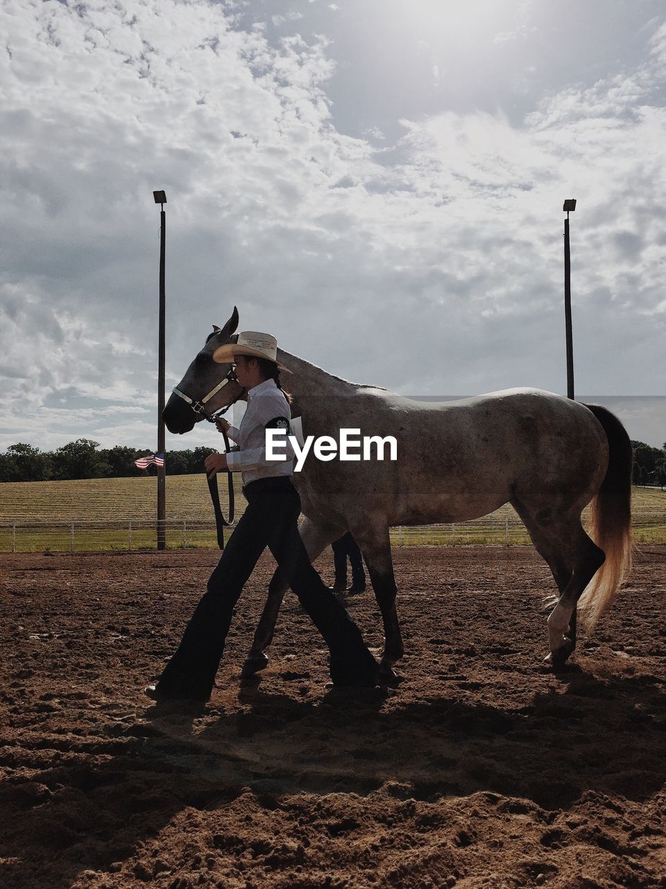 HORSE STANDING ON LANDSCAPE