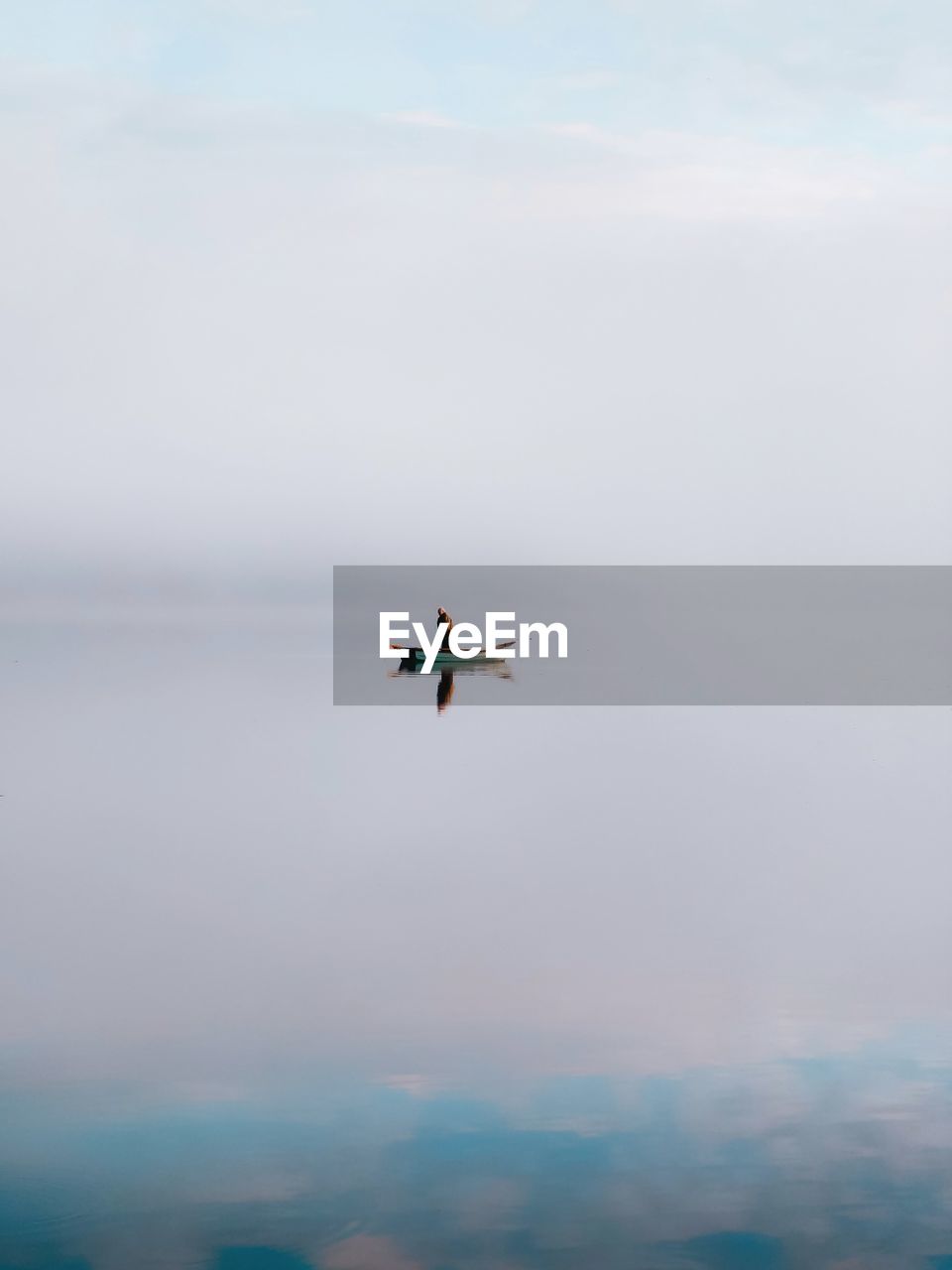 Bird flying over lake