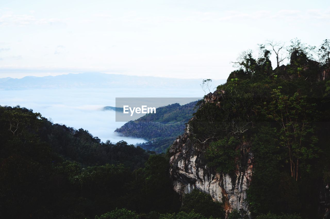 SCENIC VIEW OF MOUNTAINS AND FOREST