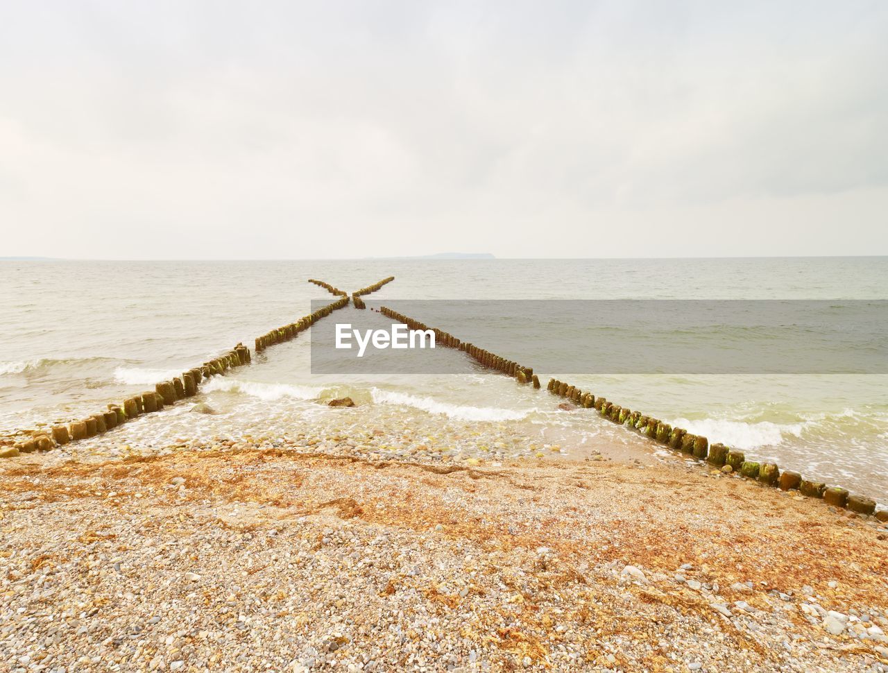 Old wooden breakwaters on a shore of baltic sea. white foamy water splashing stones on beach.