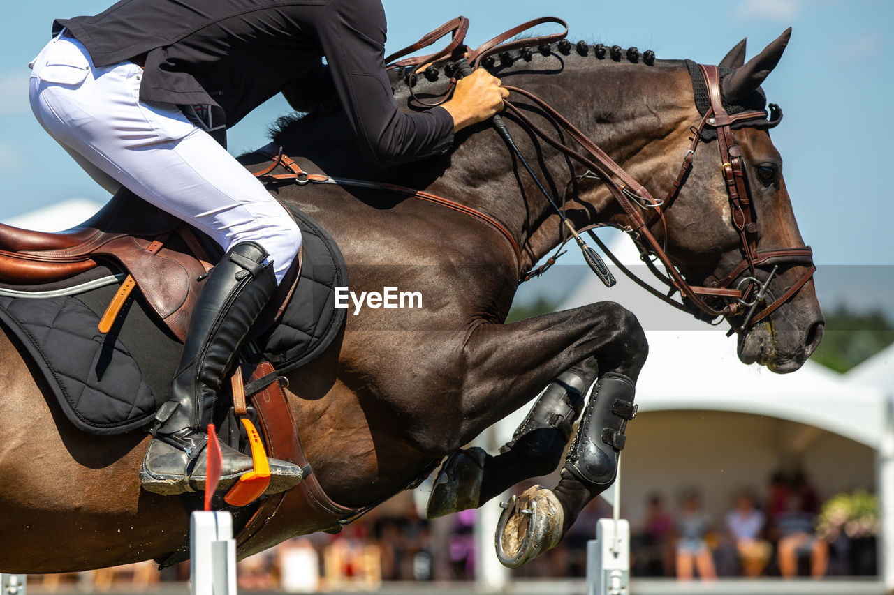 Low section of man riding horse