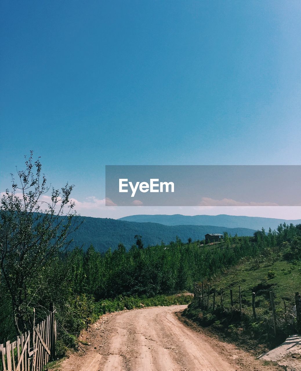 Scenic view of trees against blue sky