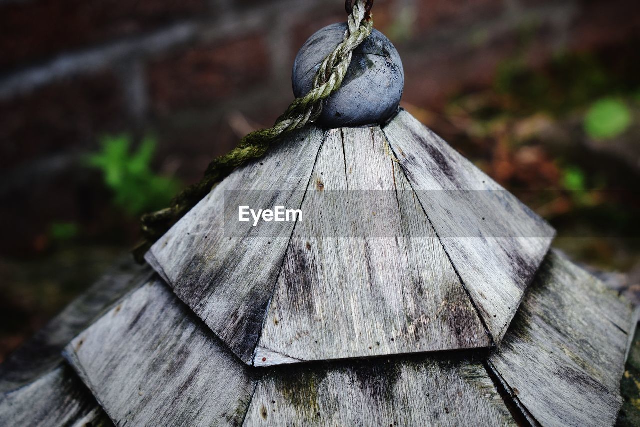 CLOSE-UP OF TREE STUMP ON WOOD